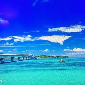 Meet your Posher, Monique